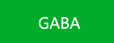 Gamma Aminobutyric Acid (GABA,  4-Aminobutyric Acid)