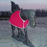 Horse Blanket