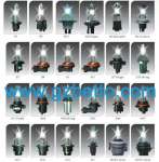HID XENON light,  hid bulbs,  auto lamp,  auto bulbs,  auto headlight,  H1H3H4H4/ LH4( H/ L) H7,  H8,  H9H10,  H11,  H13,  9004( HB1) ,  9004( H/ L) ,  9005,  9006 ,  9007,  9007( H/ L) ,  880,  881,  D2C,  D2R,  D2S
