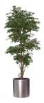Artificial Tree,  ficus special 6ft.