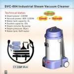 Steam vac for home steam and vac for home