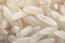 THAI RICE we export and sell from our mills.