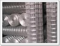 Galvanized Welded Mesh