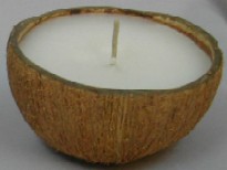 AROMATHERAPY COCONUT SHELL CANDLE