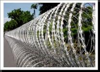 Concertina Razor Barbed Wire