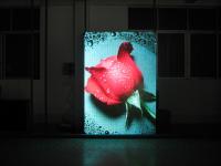 LED full color display with high brightness DIP PH 10