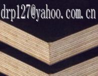 offer film face plywood(skype:ding0127) from china