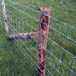 grassland mesh fence