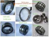 full complement cylindrical roller bearing for mechanical grabs