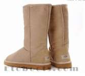 UGG Women Classic Tall Boots 5815