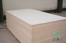 Commercial Plywood