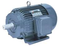 Electric motor Y Series