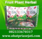 PELANGSING FRUIT PLANT