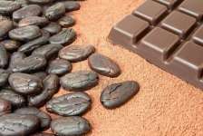 company cocoa beans