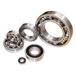 Deep Groove Ball Bearing(The factory sale)