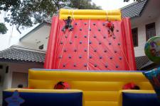 Wall climbing Inflatable