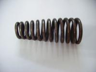 shock absorber springs