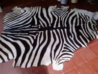 Cow Hide Zebra Painting