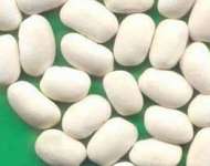 White Kidney Bean extract