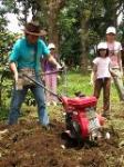 Bercocok Tanam & Berkebun