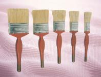 PAINT TOOLS >> 5 piece paint brushes set  17020