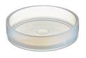 Petri dish/ Cawan Petri/ cell Culture dish