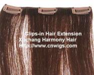 Clip on hair extension