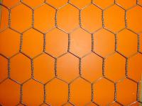 Chicken wire/Hexagonal Wire Mesh