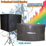 Professional Speaker( CS 450)