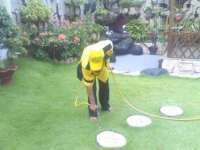 Anti Rayap Taman ( method with chemical termite barrier system for the garden)