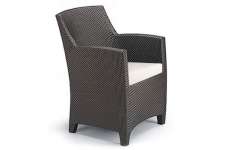 : : Barcelona Dining Arm Chair : : Synthetic Wicker