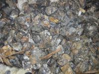 galena,  lead ore / zinc ore or,  Pb/Zn ore