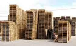 wooden Pallet & Wooden Company