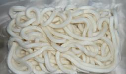 FROZEN  UDON