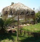 Palm Leaf Thatch Umbrella Thath Roof Tiki Roof