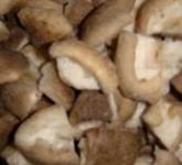 Frozen oyster mushrooms/ shiitake mushroom