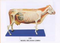 LEMBU