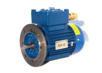 Electric Motor Flame-Explosion Proof ATEX ( EUROMOTORI - Italy )