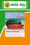 semangka benih ( watermelon seed) Green Ocean