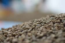 Arabica Roasted Coffee Beans and Powders