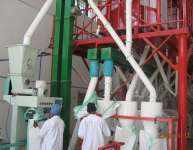 wheat flour production line,  corn flour milling machine