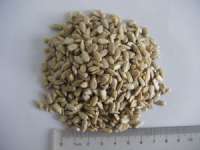 sunflower seed kernels