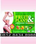 Pelangsing Fruit & plant Slimming Capsule Herbal