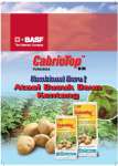 Cabriotop ( fungisida u/ tanaman kentang)