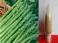 High purity Asparagus extract - No dextrin or any other materials added