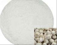 Deodonzation garlic powder/ Garlic extract