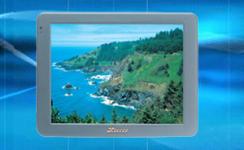LCD Vehicle Television