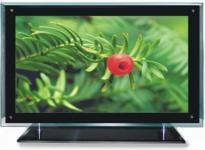 42 Inch LCD Television