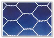 Hexagonal Wire Mesh