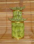 Suji/ Bambu Hoki (Lucky Bamboo) TK 219